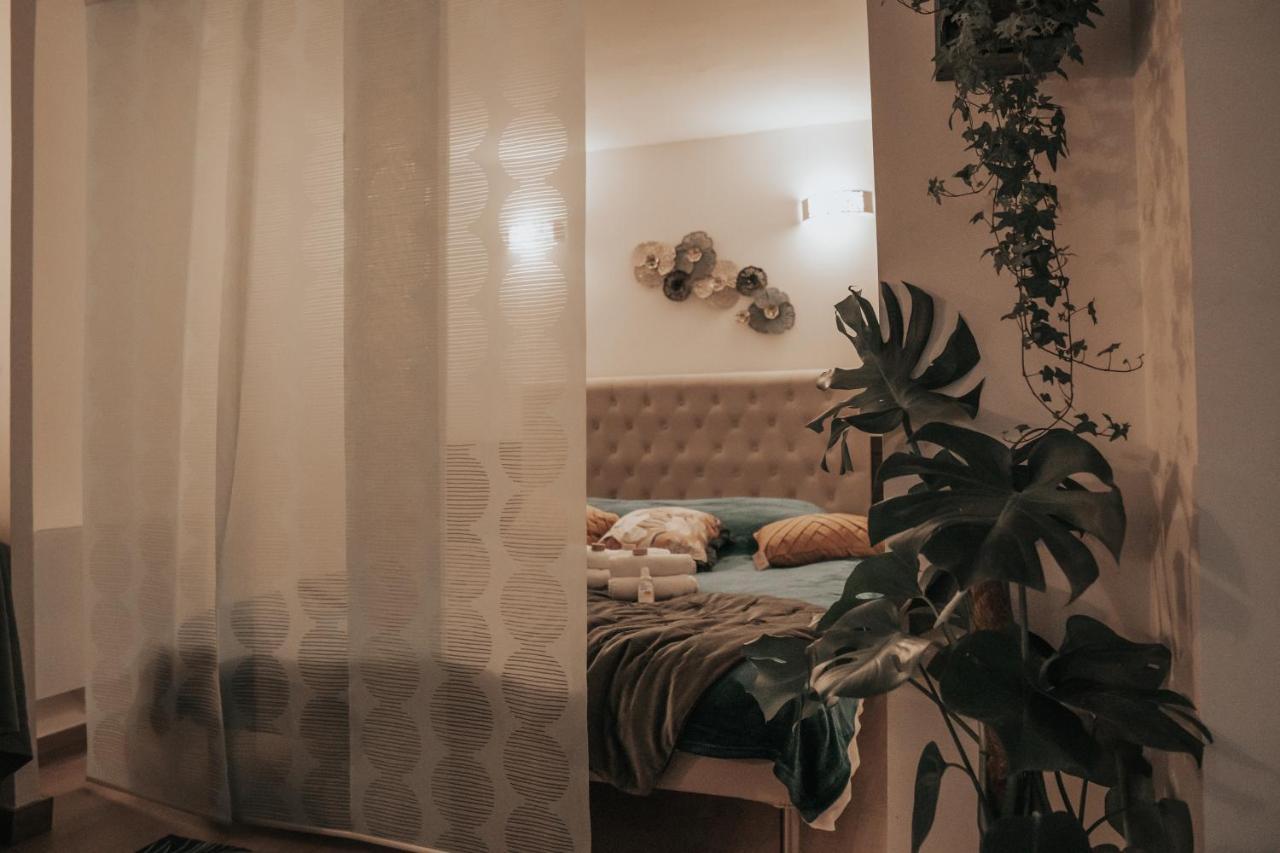 Appartement Grand Studio, Vue Centre Carte Parking
